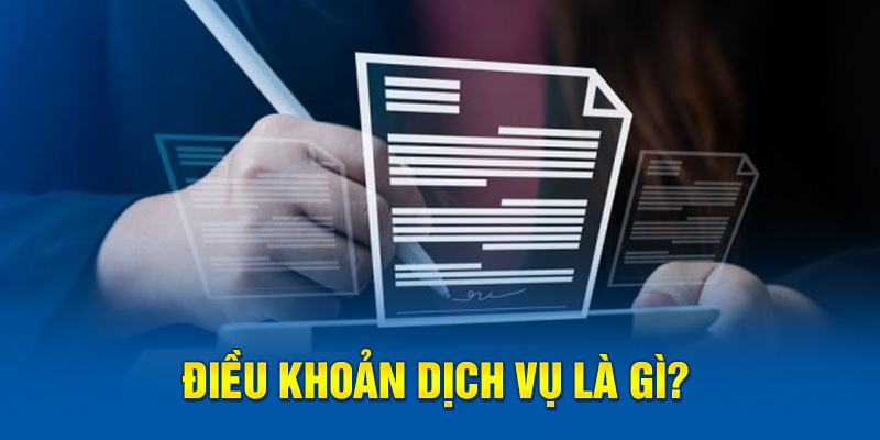 Điều khoản dịch vụ là gì? 