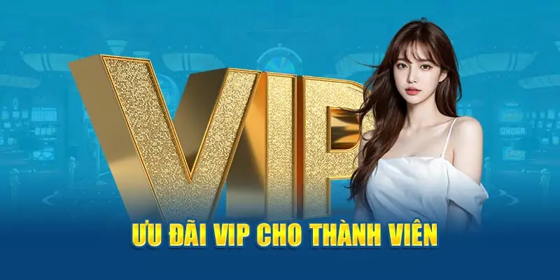 Ưu đãi VIP cho thành viên